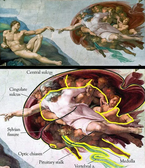 The Creation of Adam; Michelangelo (~1510), (Composite View, credit F. L. Meshberger)